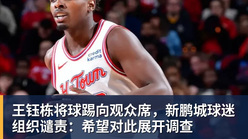 王钰栋将球踢向观众席，新鹏城球迷组织谴责：希望对此展开调查