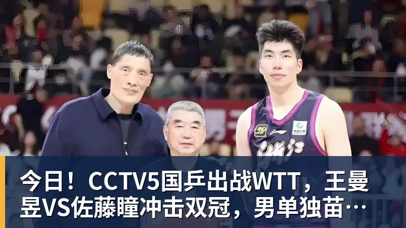 今日！CCTV5国乒出战WTT，王曼昱VS佐藤瞳冲击双冠，男单独苗周启豪PK松岛辉空